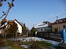 Třibřichy